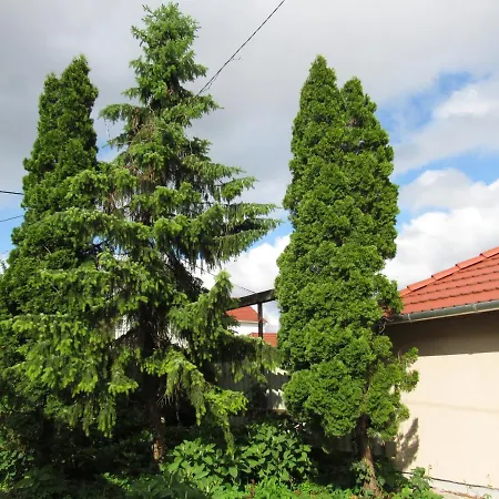 Holiday home Kossuth Apartman Hajduszoboszlo