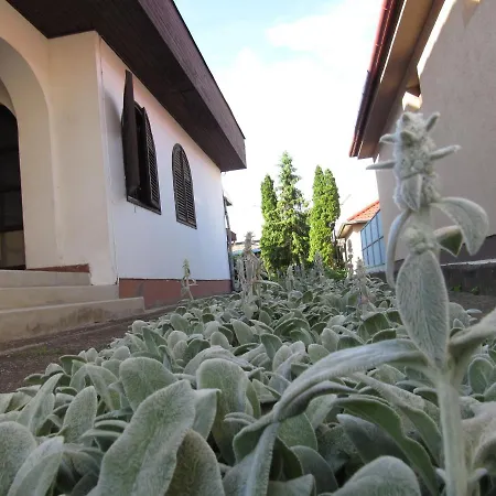 Kossuth Apartman Holiday home *